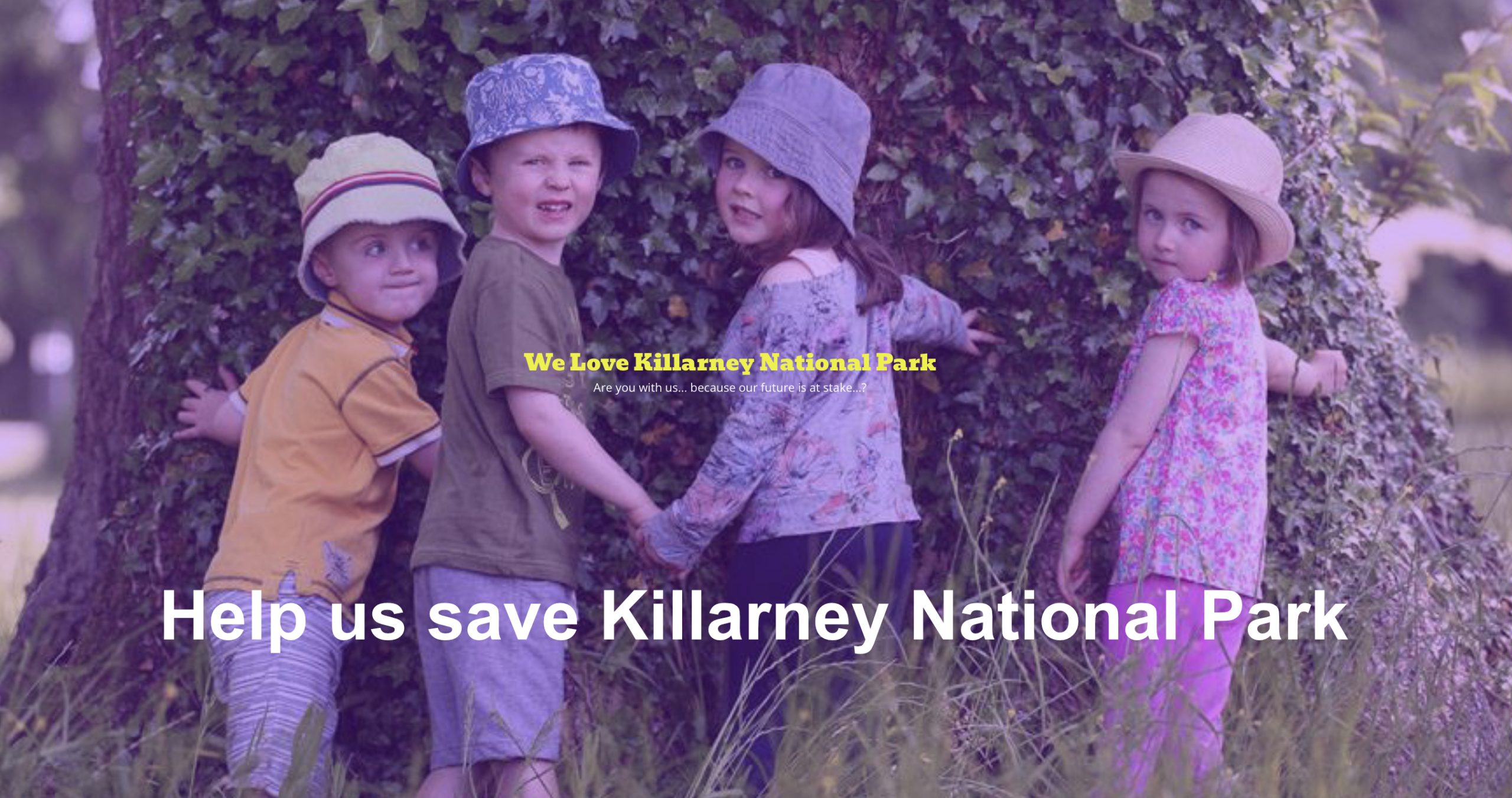 Killarney National Park